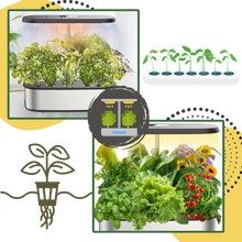 Carica l'immagine nel visualizzatore di Gallery, Giardino Idroponico con 12 Capsule per Piante - Ozerty