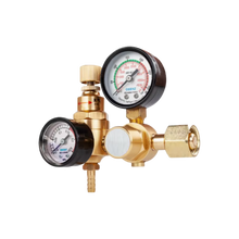 Carica l'immagine nel visualizzatore di Gallery, Regolatore di Protezione per Argon - Ozerty