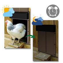 Carica l'immagine nel visualizzatore di Gallery, Porta automatica per pollaio - Ozerty