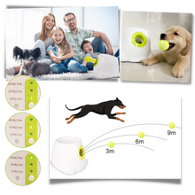 Carica l'immagine nel visualizzatore di Gallery, Lanciatore automatico di palline per cani - Ozerty