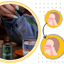 Carica l'immagine nel visualizzatore di Gallery, Mullein senza glutine per la salute dei polmoni - Ozerty