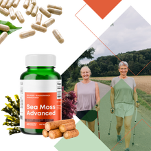 Carica l'immagine nel visualizzatore di Gallery, Integratore di Erbe Marine - Ozerty