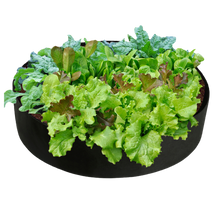 Carica l'immagine nel visualizzatore di Gallery, Sacchetti traspiranti multiuso per la semina -60x20 cm70x30 cm80x30 cm90x30 cm127x30 cm - Ozerty