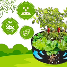 Carica l'immagine nel visualizzatore di Gallery, Sacchetti traspiranti multiuso per la semina - Ozerty