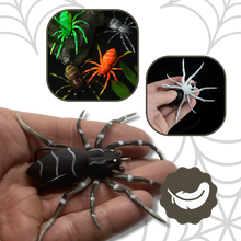 Carica l'immagine nel visualizzatore di Gallery, Esche ragno a movimento naturale - Ozerty