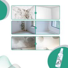 Carica l'immagine nel visualizzatore di Gallery, Potente Spray Rimuovi Muffa - Ozerty
