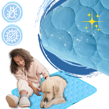 Carica l'immagine nel visualizzatore di Gallery, Cuscinetto di raffreddamento per animali domestici in seta - Ozerty
