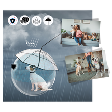 Carica l'immagine nel visualizzatore di Gallery, Guinzaglio a Ombrello Trasparente per Cani - Ozerty