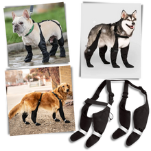 Carica l'immagine nel visualizzatore di Gallery, Stivali con bretelle impermeabili per cani - Ozerty