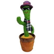 Carica l'immagine nel visualizzatore di Gallery, Pappagallo cactus parlante