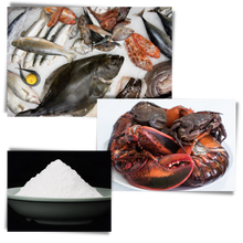 Carica l&#39;immagine nel visualizzatore di Gallery, Attraente esca per pesci - Ozerty
