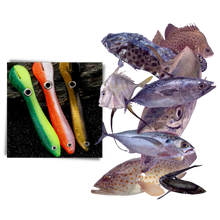 Carica l&#39;immagine nel visualizzatore di Gallery, Set di esche da pesca artificiali
