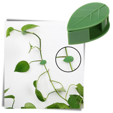 Carica l&#39;immagine nel visualizzatore di Gallery, Confezione da 20 clip adesive a forma di foglia per piante rampicanti - Ozerty
