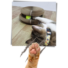 Load image into Gallery viewer, Tiragraffi per gatti - Ozerty
