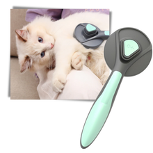 Load image into Gallery viewer, Spazzola speciale per animali domestici - Ozerty
