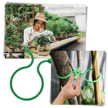 Carica l&#39;immagine nel visualizzatore di Gallery, Confezione di fermi per piante da giardino - Ozerty
