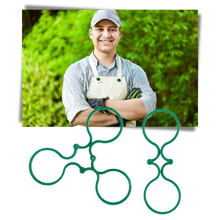 Carica l&#39;immagine nel visualizzatore di Gallery, Confezione di fermi per piante da giardino - Ozerty
