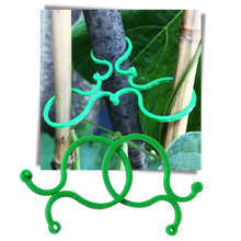 Carica l&#39;immagine nel visualizzatore di Gallery, Confezione di fermi per piante da giardino - Ozerty
