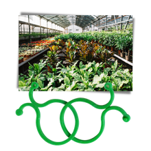 Carica l&#39;immagine nel visualizzatore di Gallery, Confezione di fermi per piante da giardino - Ozerty
