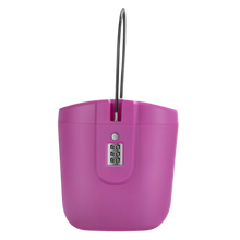 Carica l&#39;immagine nel visualizzatore di Gallery, Cassetta di sicurezza portatile con maniglia
