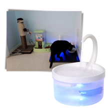 Carica l&#39;immagine nel visualizzatore di Gallery, Fontana d&#39;acqua automatica per gatto con luce LED - Ozerty

