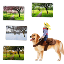 Carica l&#39;immagine nel visualizzatore di Gallery, Costume da cane cowboy - Ozerty
