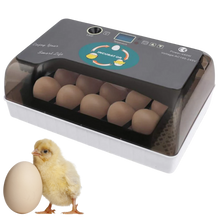Carica l&#39;immagine nel visualizzatore di Gallery, Incubatrice automatica digitale per uova - Ozayti
