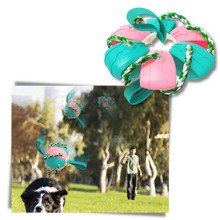 Carica l&#39;immagine nel visualizzatore di Gallery, Giocattolo per cani palla frisbee
