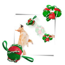 Carica l&#39;immagine nel visualizzatore di Gallery, Giocattolo per cani palla frisbee - Ozerty
