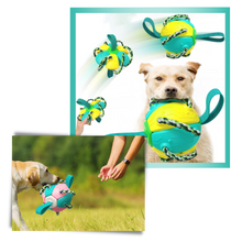 Carica l&#39;immagine nel visualizzatore di Gallery, Giocattolo per cani palla frisbee - Ozerty
