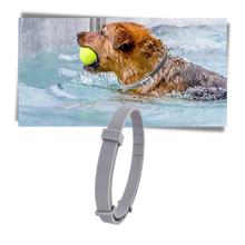 Carica l&#39;immagine nel visualizzatore di Gallery, Collare antipulci per animali domestici - Ozerty
