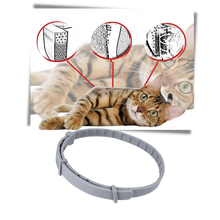Carica l&#39;immagine nel visualizzatore di Gallery, Collare antipulci per animali domestici - Ozerty
