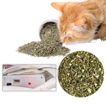 Carica l&#39;immagine nel visualizzatore di Gallery, Giocattolo per gatti a forma di pesce fluttuante - Ozerty
