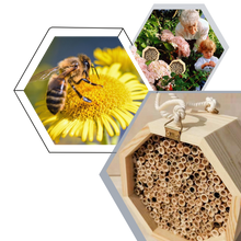 Carica l&#39;immagine nel visualizzatore di Gallery, Casa delle api in legno esagonale - Ozerty
