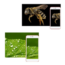 Carica l&#39;immagine nel visualizzatore di Gallery, Microscopio digitale USB con LED
