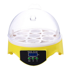 Carica l&#39;immagine nel visualizzatore di Gallery, Mini incubatrice automatica per uova - ozayti
