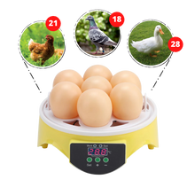 Carica l&#39;immagine nel visualizzatore di Gallery, Mini incubatrice automatica per uova - ozayti

