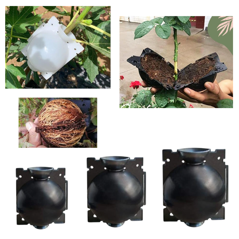 Confezione da 3 scatole per piante a stratificazione aerea - Ozerty