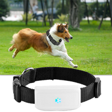 Carica l&#39;immagine nel visualizzatore di Gallery, Collare di localizzazione GPS per animali domestici - Ozerty
