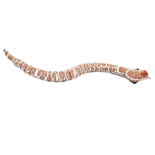 Carica l&#39;immagine nel visualizzatore di Gallery, Giocattolo a serpente interattivo telecomandato per gatto
