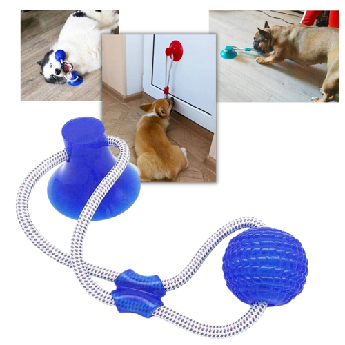 Giocattolo a ventosa con palla da tirare per cani - Ozerty