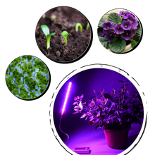 Carica l&#39;immagine nel visualizzatore di Gallery, Luce di crescita per piante USB LED con palo flessibile - Ozerty
