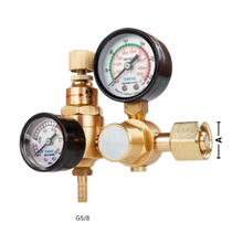 Carica l&#39;immagine nel visualizzatore di Gallery, Regolatore di Protezione per Argon - Ozerty
