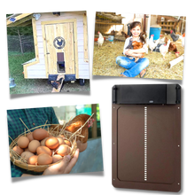 Carica l&#39;immagine nel visualizzatore di Gallery, Porta automatica per pollaio - Ozerty
