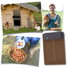 Carica l&#39;immagine nel visualizzatore di Gallery, Porta automatica per pollaio - Ozerty
