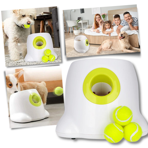 Lanciatore automatico di palline per cani - Ozerty