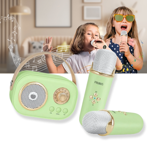 Mini Karaoke Bluetooth a Doppio Microfono per Bambini - Ozerty