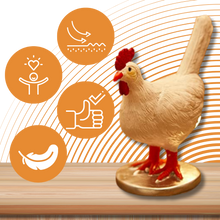 Carica l&#39;immagine nel visualizzatore di Gallery, Lampada accogliente a forma di uovo di gallina - Ozerty
