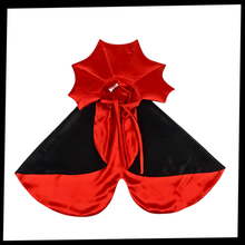 Carica l&#39;immagine nel visualizzatore di Gallery, Costume di Halloween per animali domestici da Dracula - Ozerty
