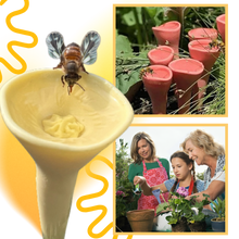 Carica l&#39;immagine nel visualizzatore di Gallery, Coppa per api discreta, Attraente e Colorata - Ozerty
